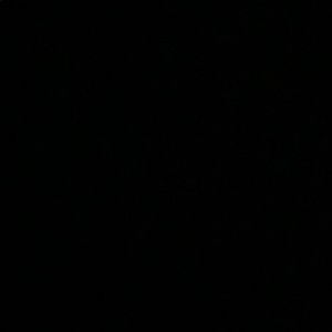 Meet your Posher, Jada